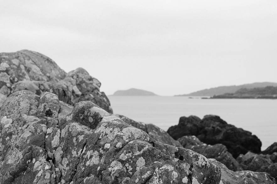 A close-up of a rocky shore